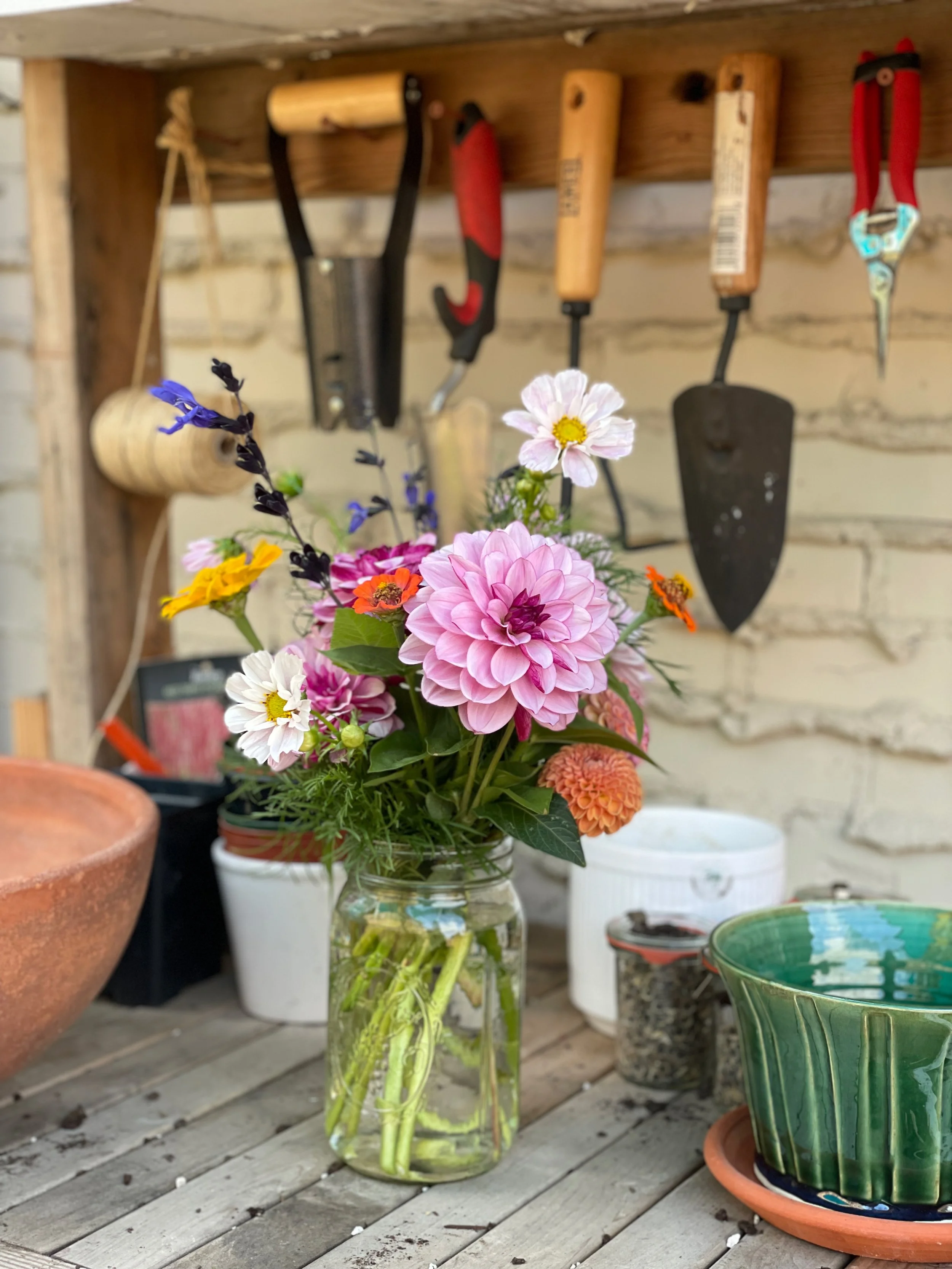 Monty don garden tools deals